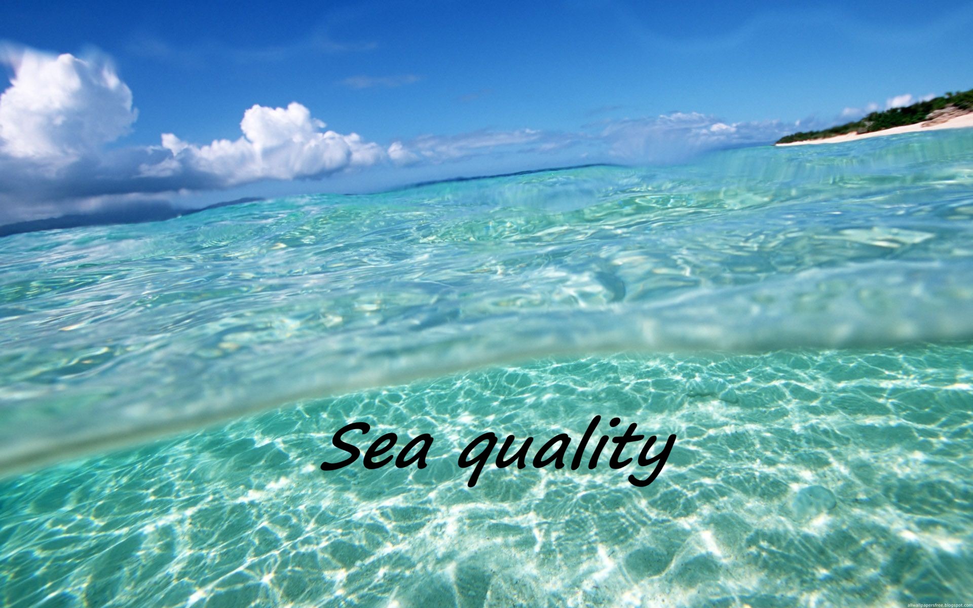 Sea quality
